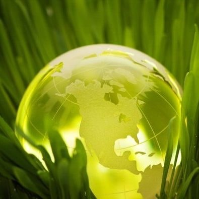 MSC Security LLC green initiatives